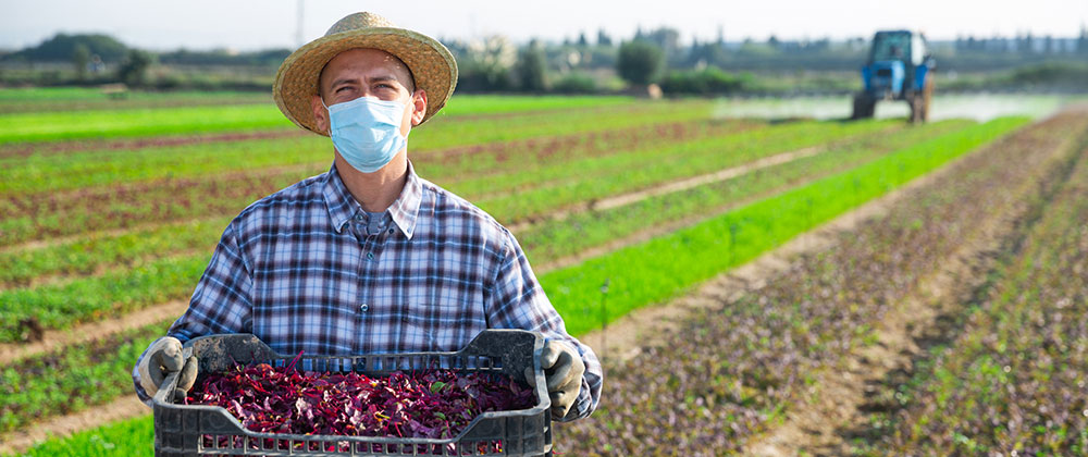 Farmworker Immigration