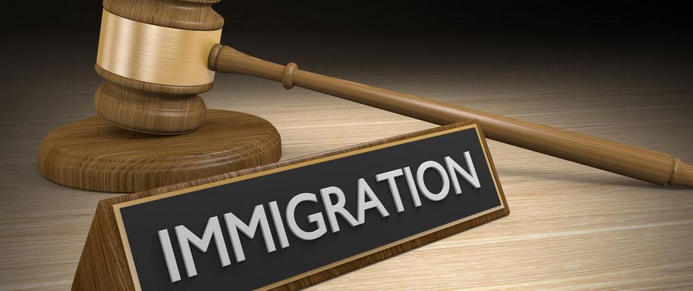 New York immigration case