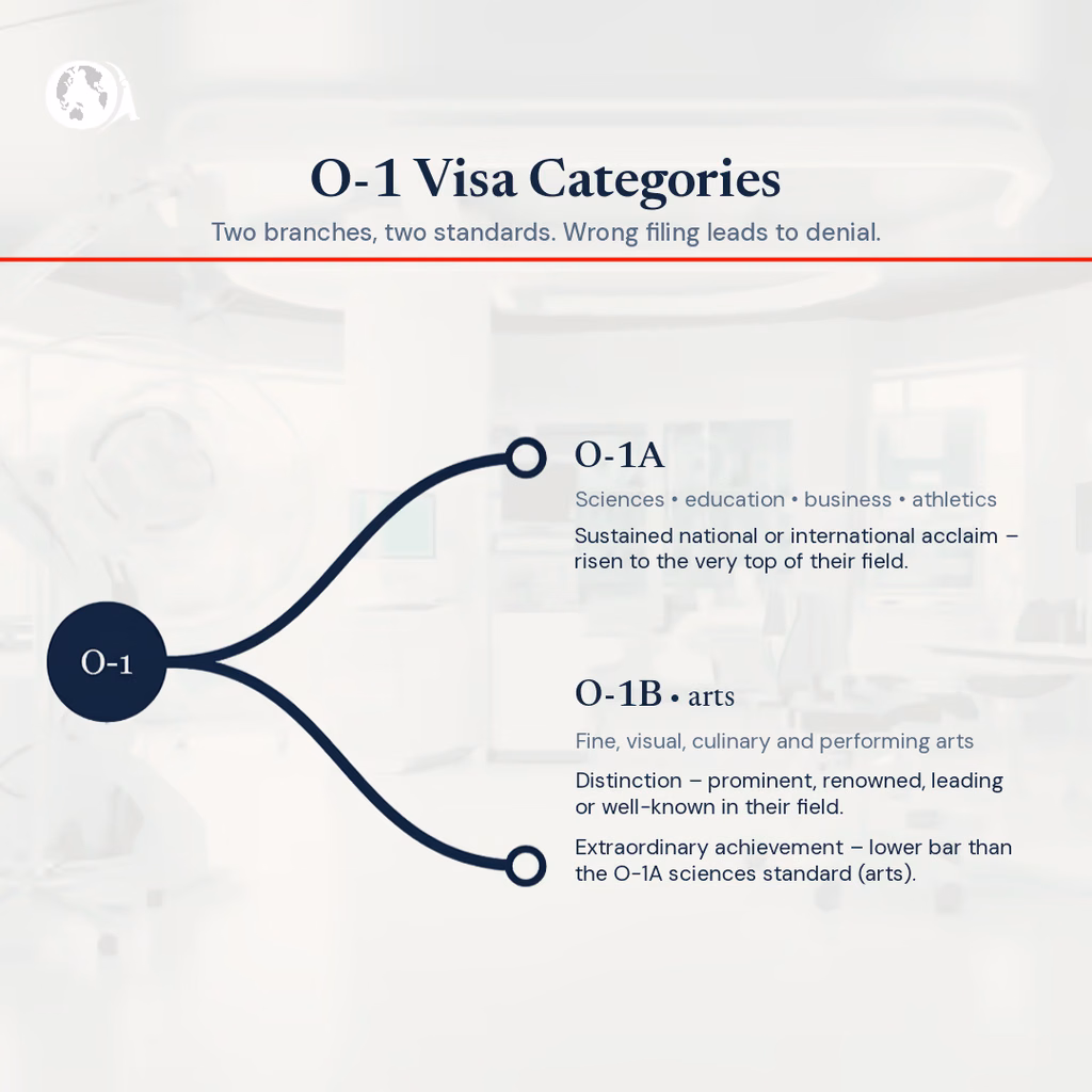 An infographic showing the O- 1 Visa Categories.
